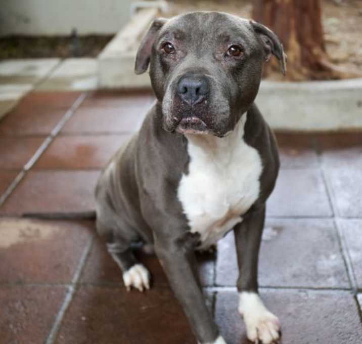Photo of ACE