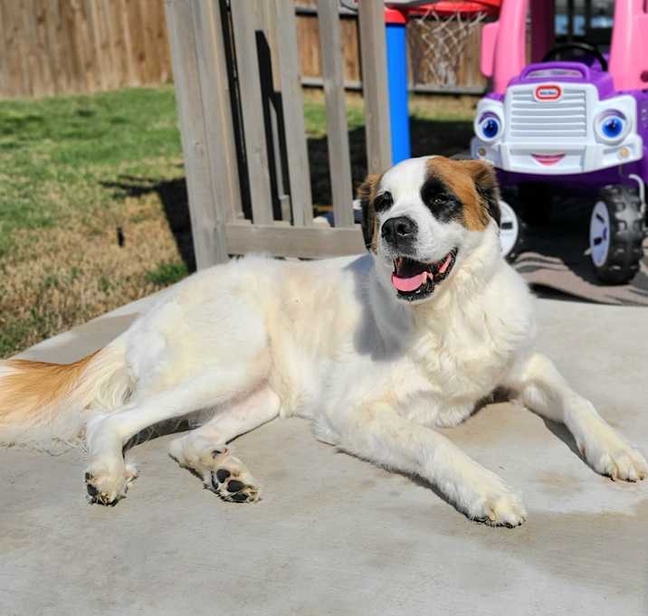 Photo of Skye
