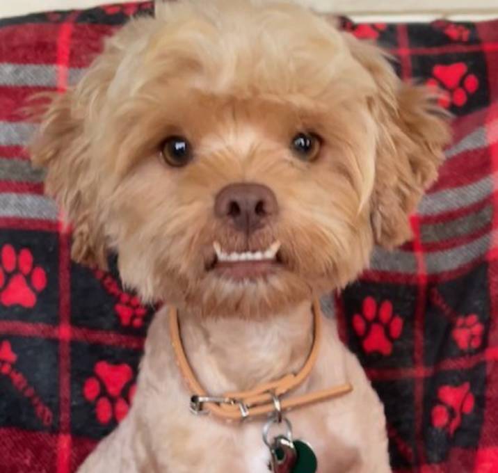 Photo of Sidney