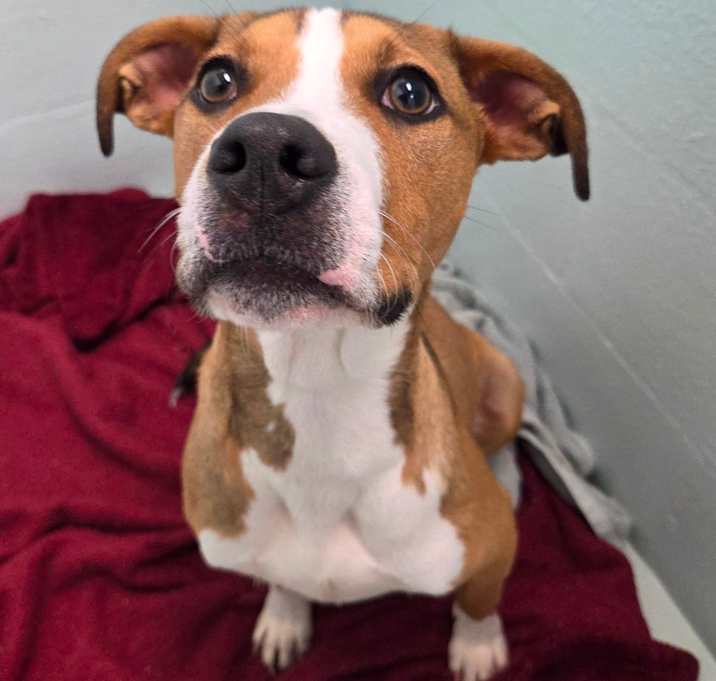 Photo of Wilbur