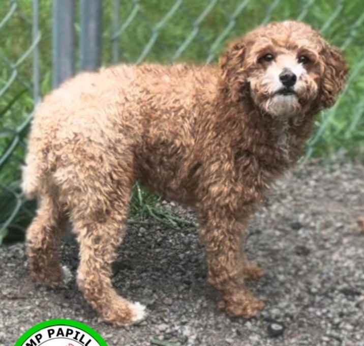 Photo of Hershey