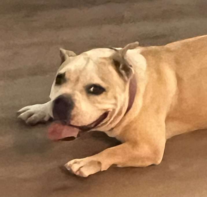 Photo of Goldie