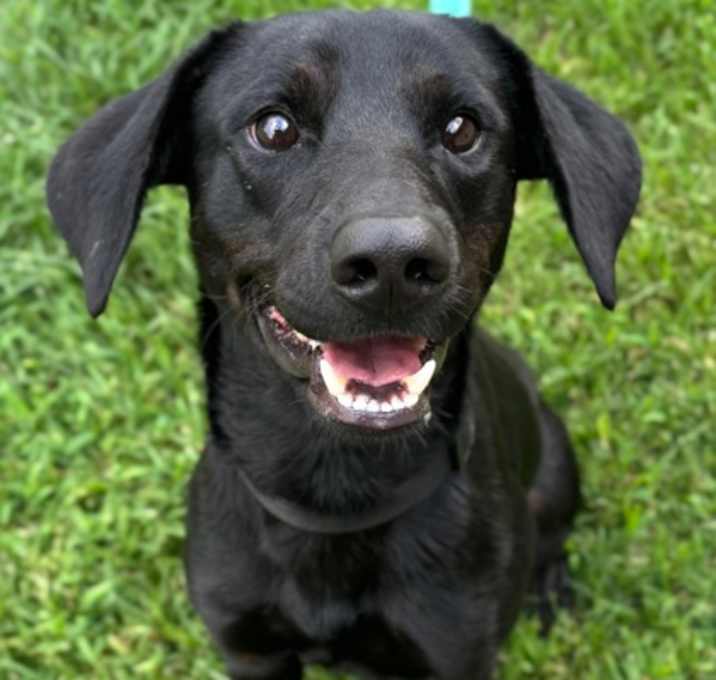 Photo of Teagan