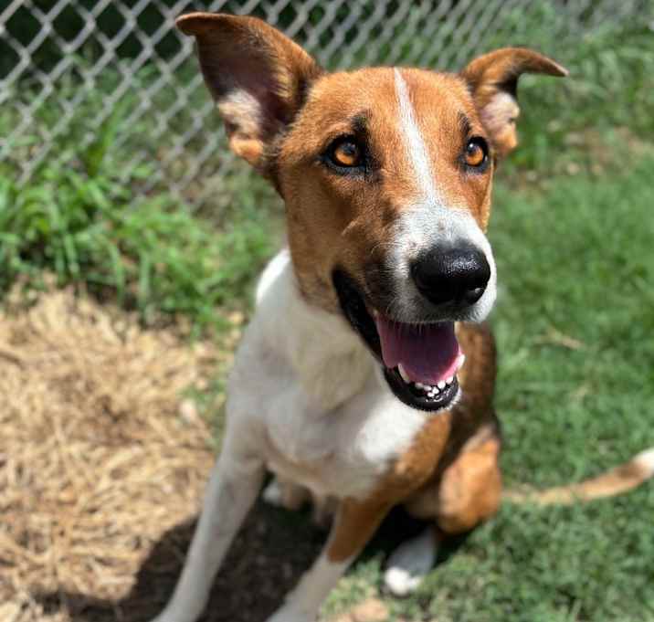 Photo of DeeDee