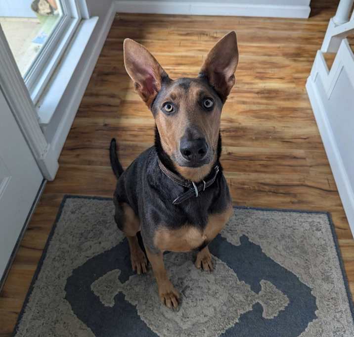Photo of Astrid