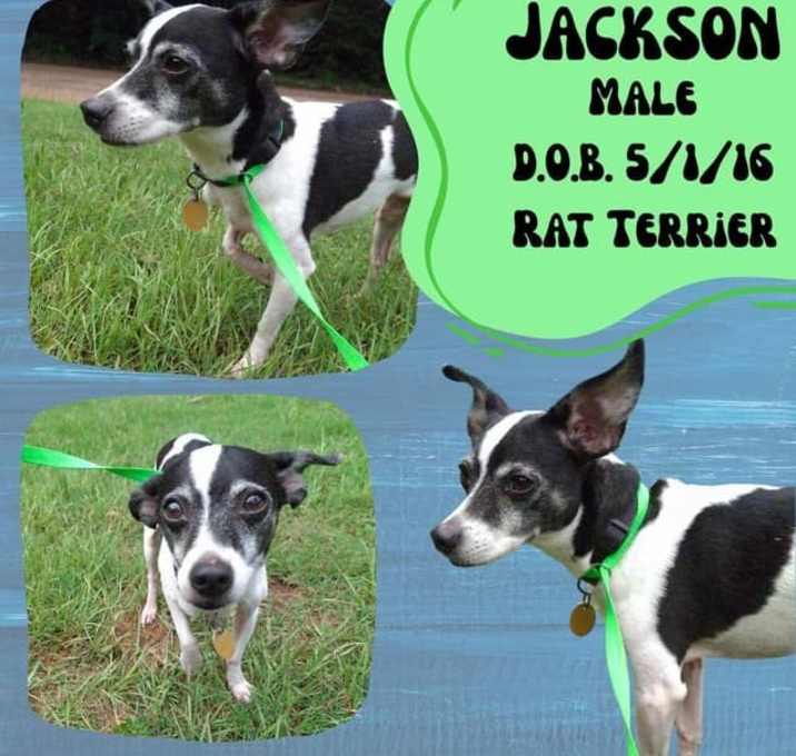 Photo of Jackson
