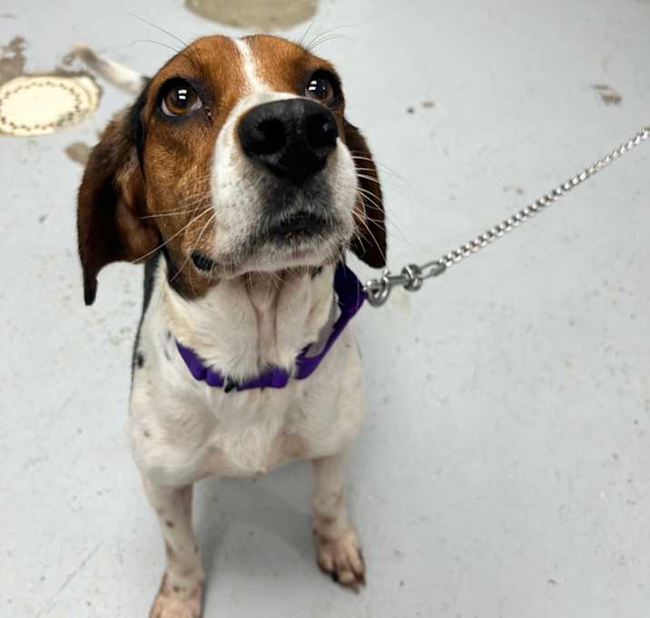 Photo of Nova
