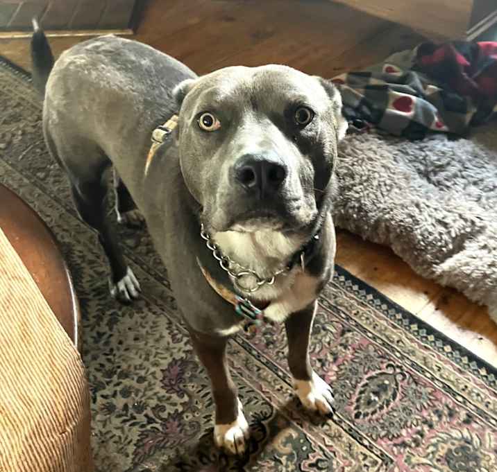Photo of rudy