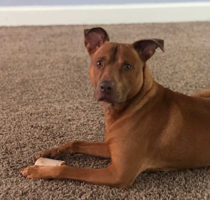Photo of Bourbon