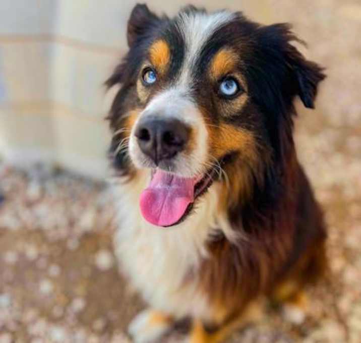 Photo of Parker