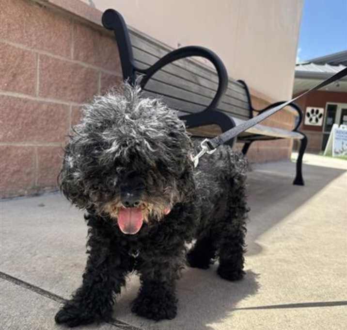 Photo of CERBERUS