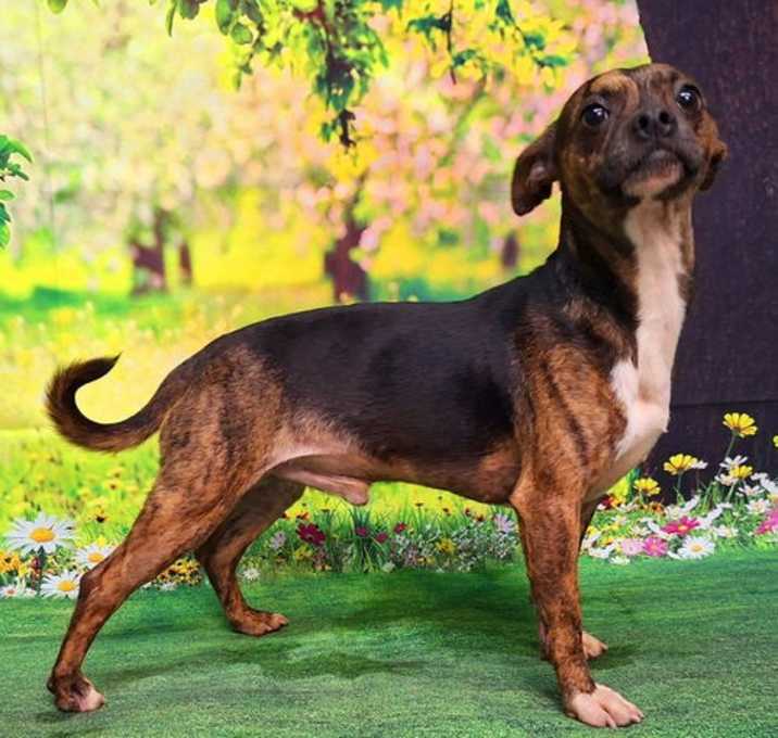 Photo of 250731  Buster