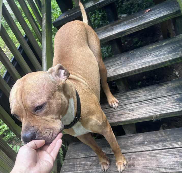 Photo of Kilo