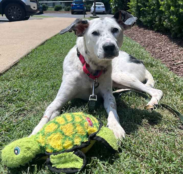 Photo of Amelia