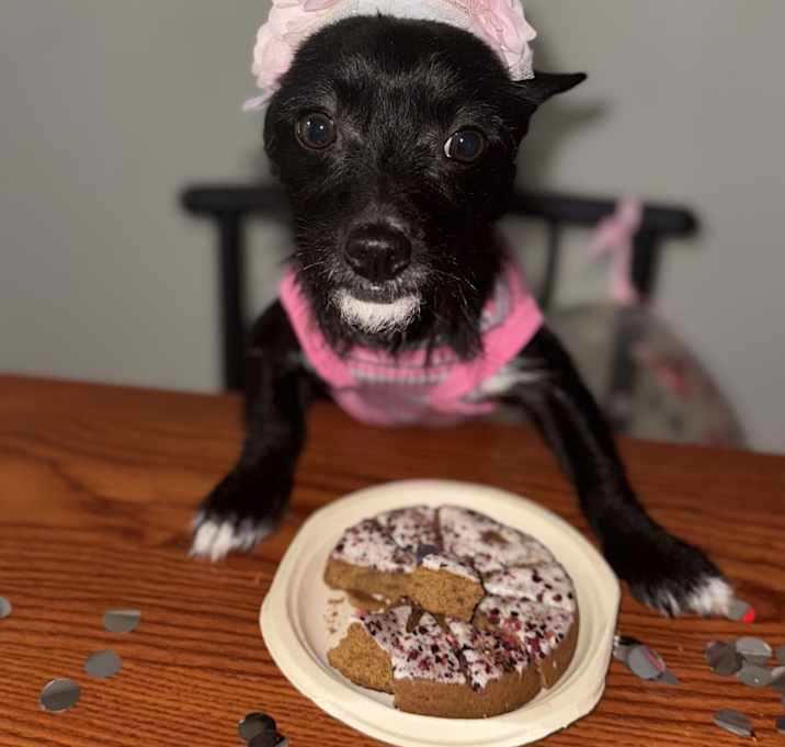 Photo of Ella