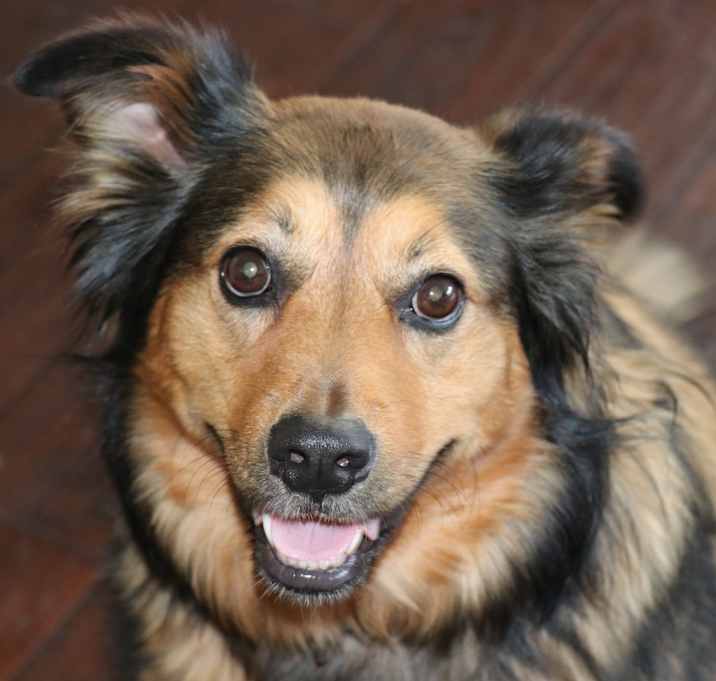 Photo of Hopper