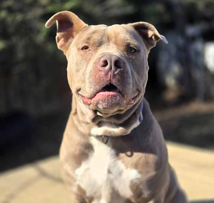 Photo of Gordo