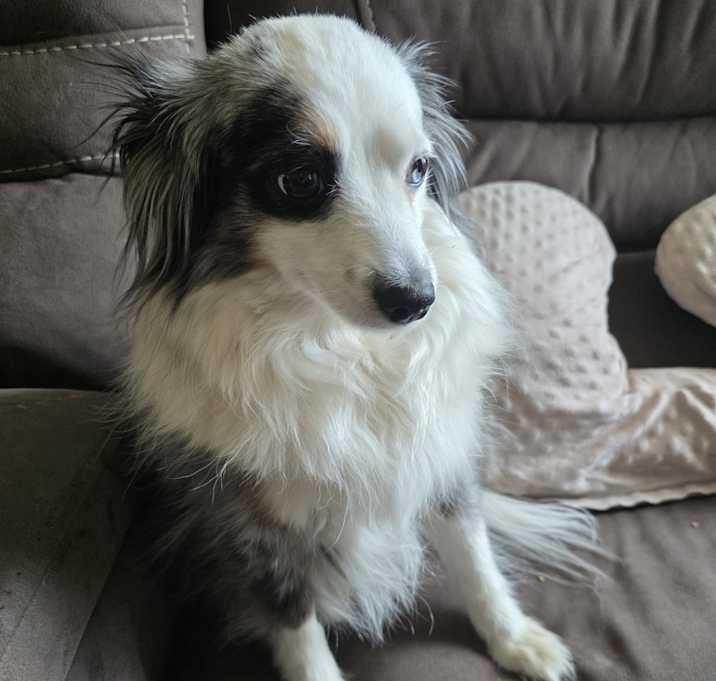 Photo of Blue