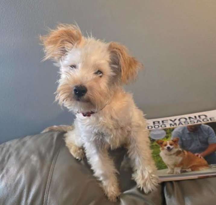 Photo of Rita