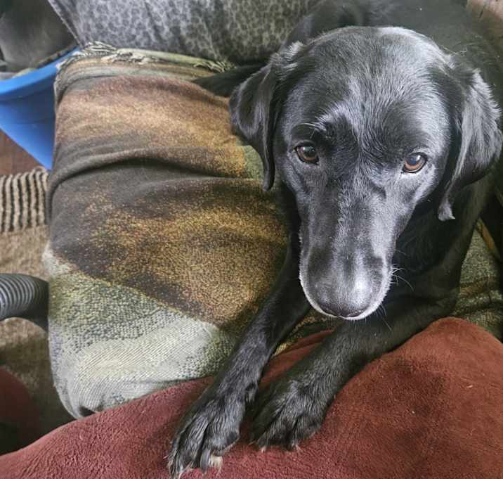 Photo of Mia