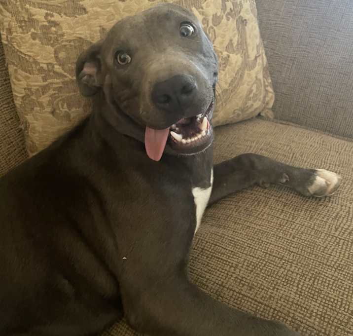 Photo of zeus
