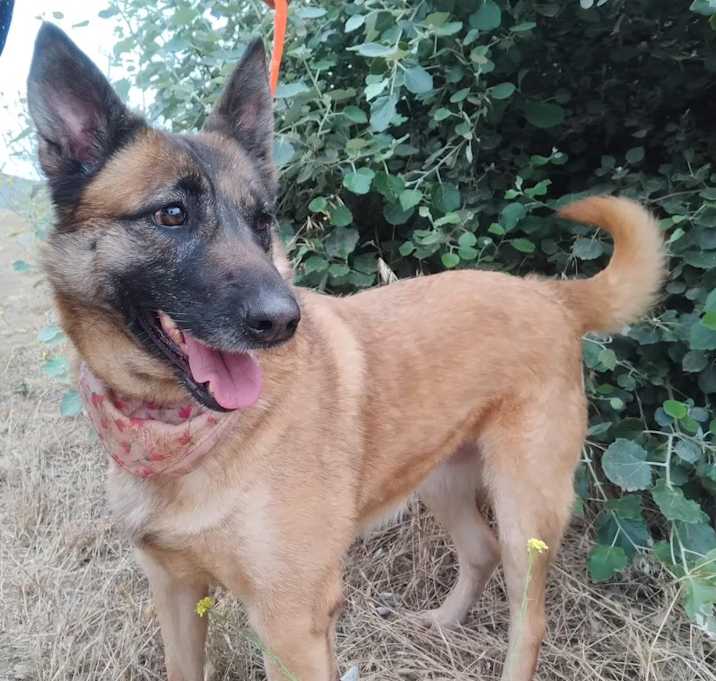 Photo of PRINCESS