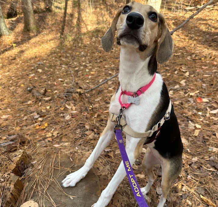 Photo of Dottie