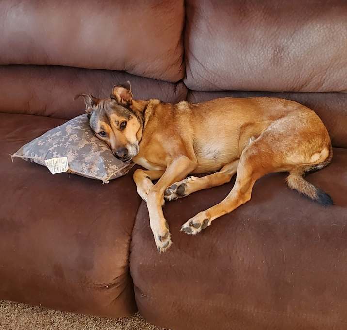 Photo of Odin