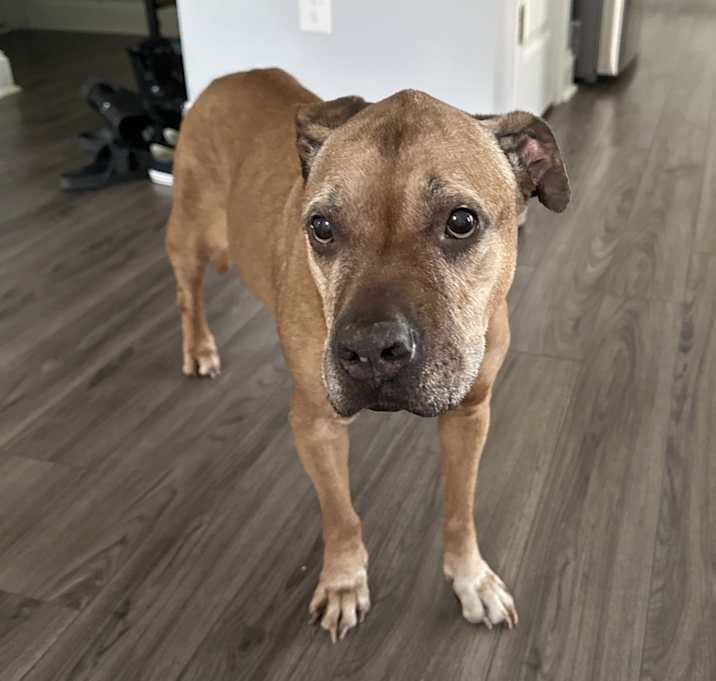 Photo of Winnie