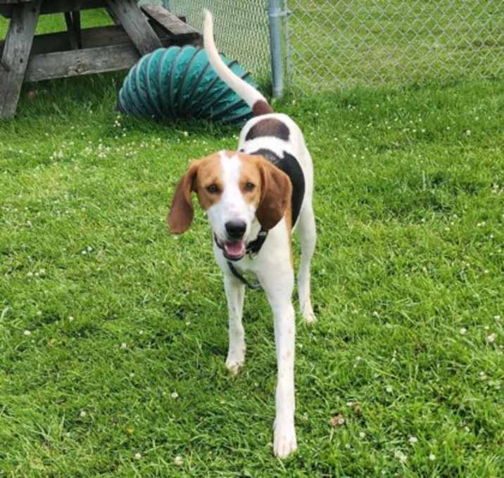 Photo of Harley