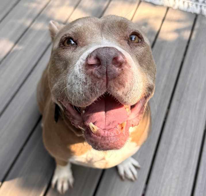 Photo of Dulce