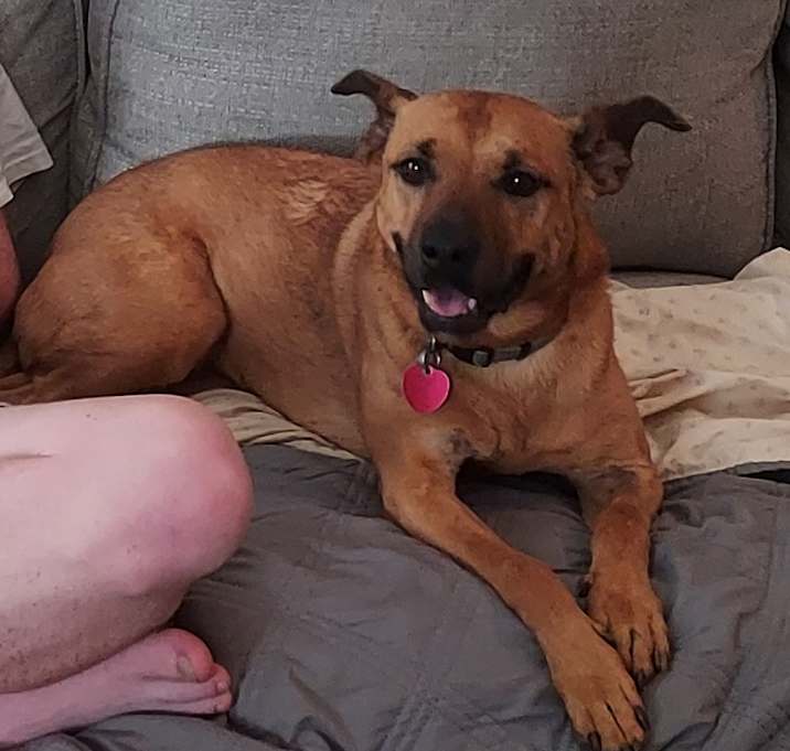 Photo of Daisy