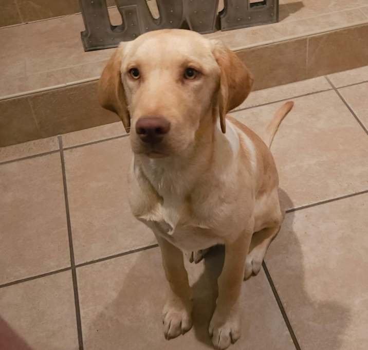 Photo of Loki