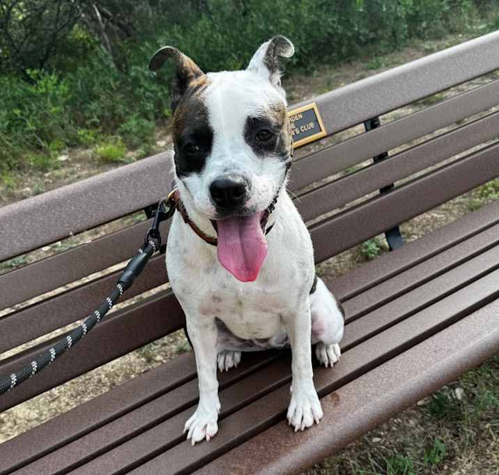 Photo of Lucy