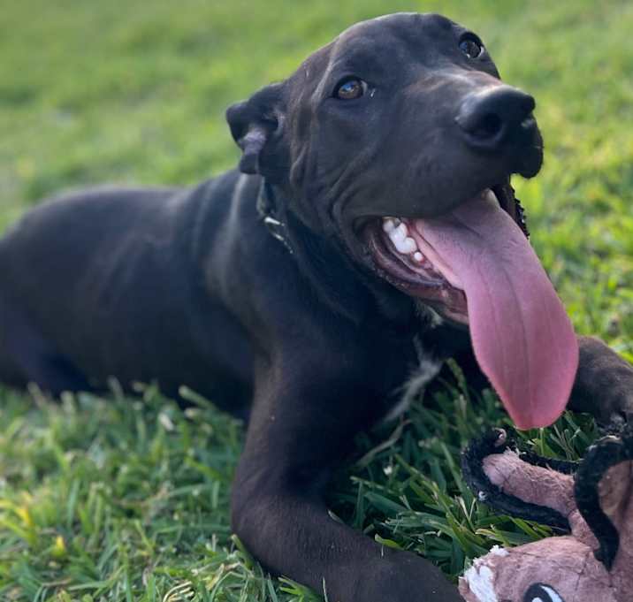 Photo of Neo