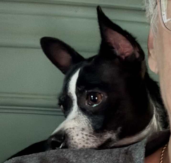 Photo of Maddie