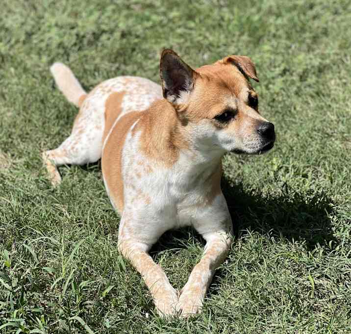 Photo of Rosie
