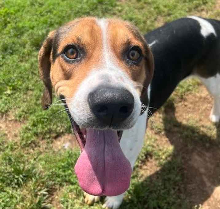 Photo of Hudson