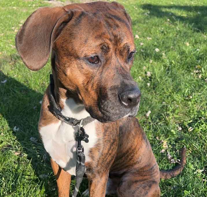Photo of Enzo