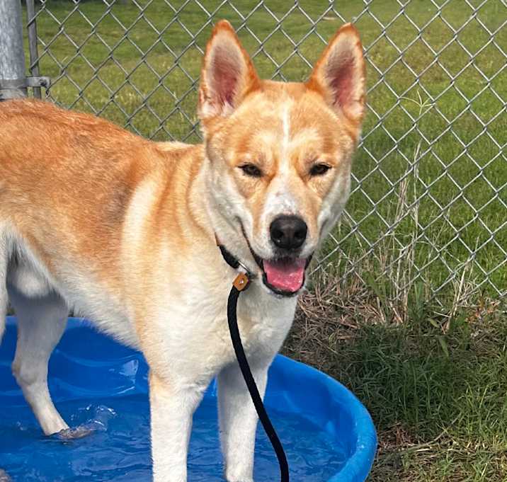 Photo of Cosmo 