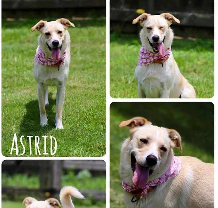 Photo of Astrid