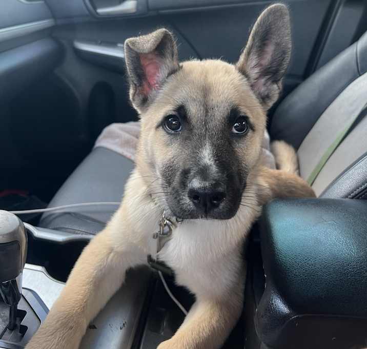 Photo of Cash
