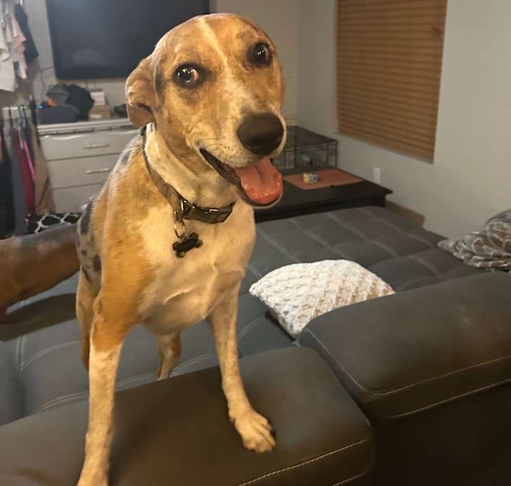 Photo of Tucker