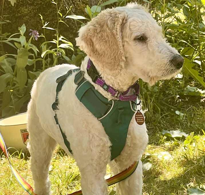 Photo of Heidi