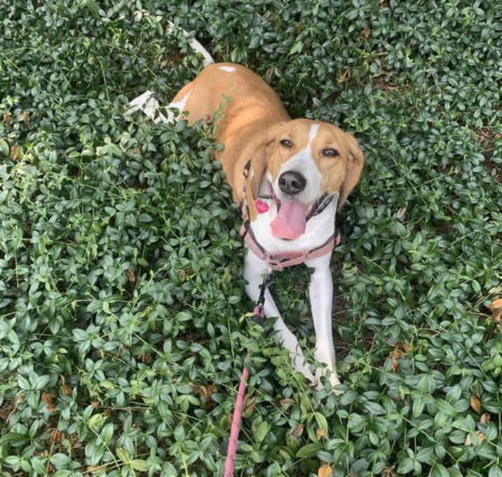 Photo of Molly **Courtesy Post**