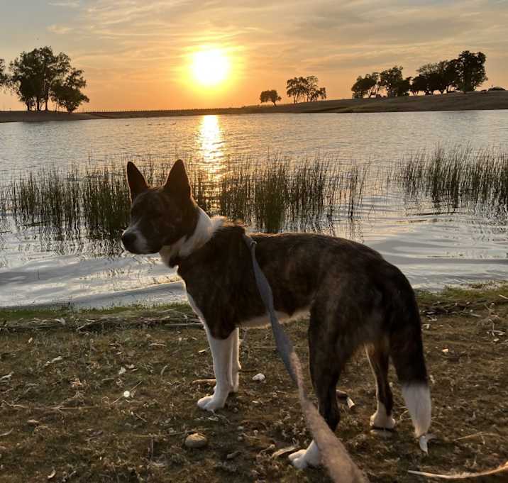 Photo of Achilles