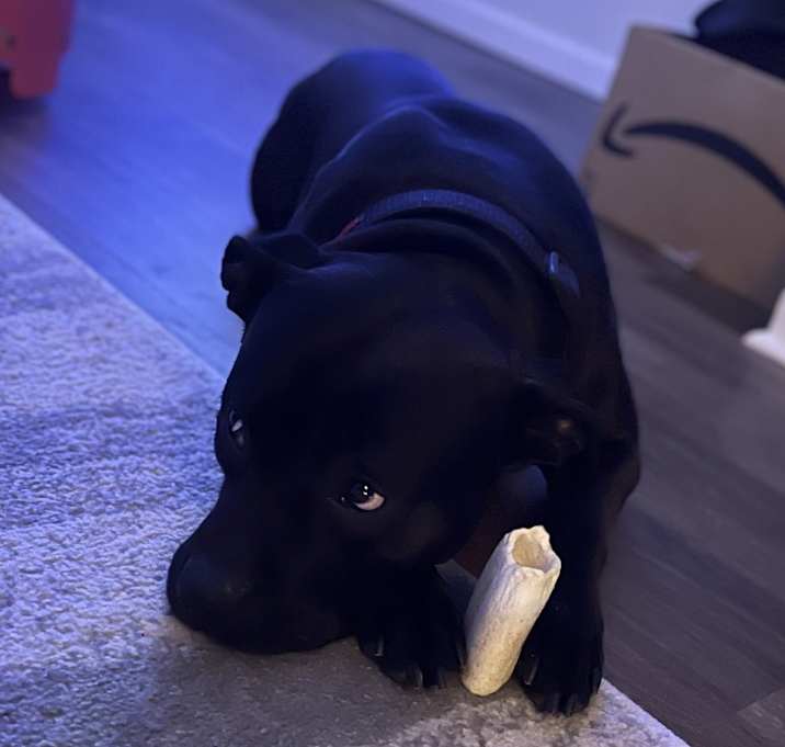 Photo of Ice