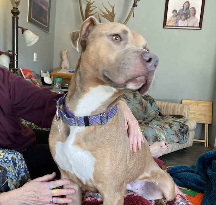 Photo of Sadie