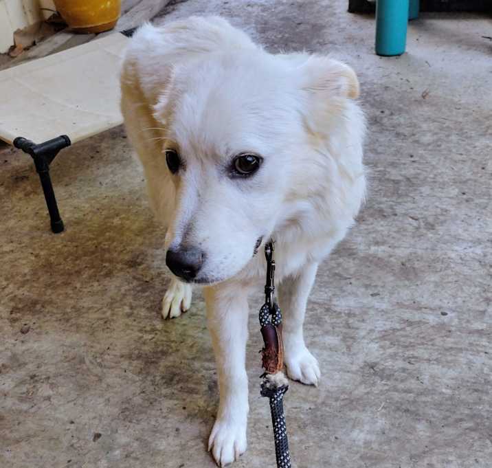 Photo of Ellie