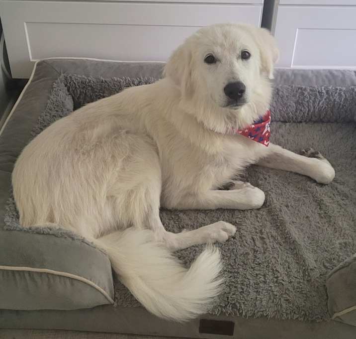 Photo of Baylor